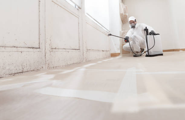 Trusted Mold Removal service in Hampton, VA - WQB Mold Removal