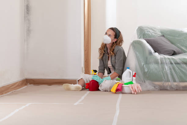 Reliable Mold Removal contractor in Hampton, VA by WQB Mold Removal